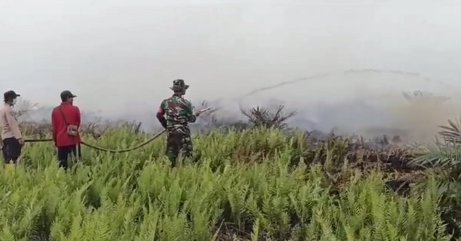 Sudah 11 Hari Karhutla di Rantau Panjang, Petugas Masih Berjibaku Lakukan Pemadaman 