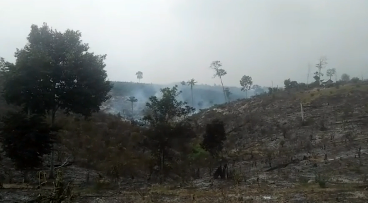 Lahan di Desa Aburan Batang Tebo Terbakar, Api Padam Diguyur Hujan