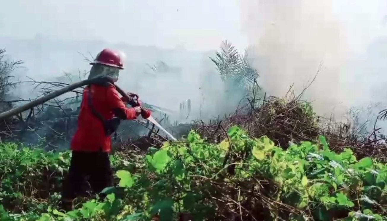 Kebakaran Lahan di Desa Tinting Belum Padam, Sudah 3 Hari Petugas Masih Berjibaku Padamkan Api 