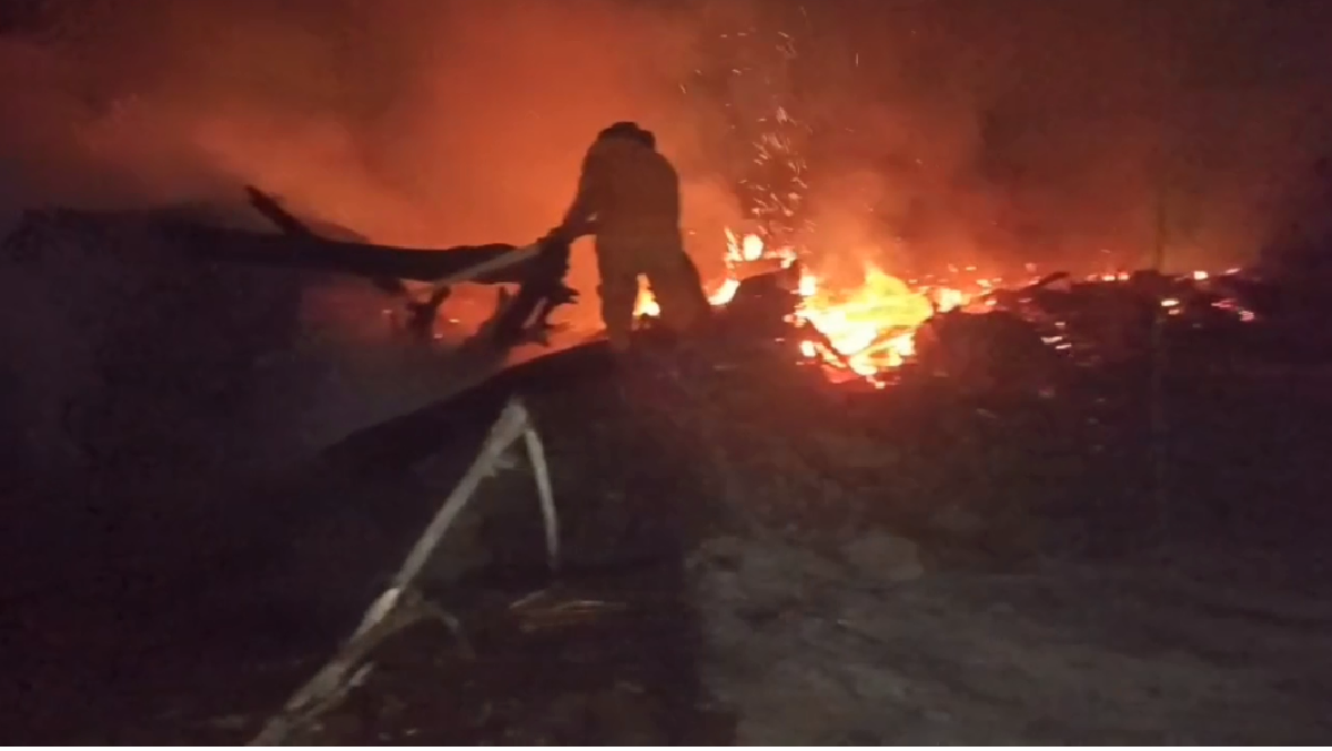 Dampak Karhutla di Batang Hari, Luas Hutan dan Lahan Terbakar Capai 1.616 Hektare