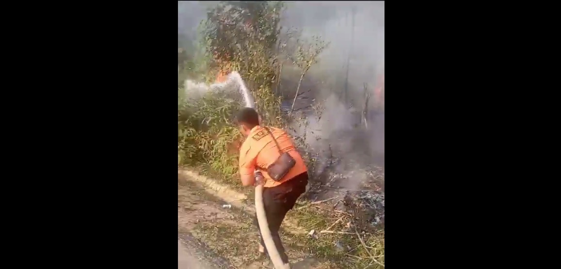 Diduga Akibat Api Puntung Rokok, Lahan Dekat Jalan Ke Arah Desa Transos Terbakar