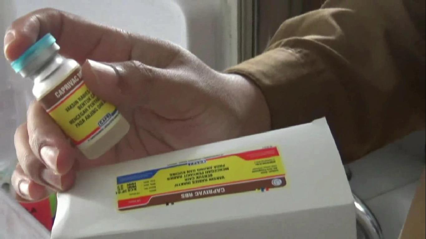 Cegah Penularan Rabies, Pemkab Batang Hari Siapkan 600 Dosis Vaksin