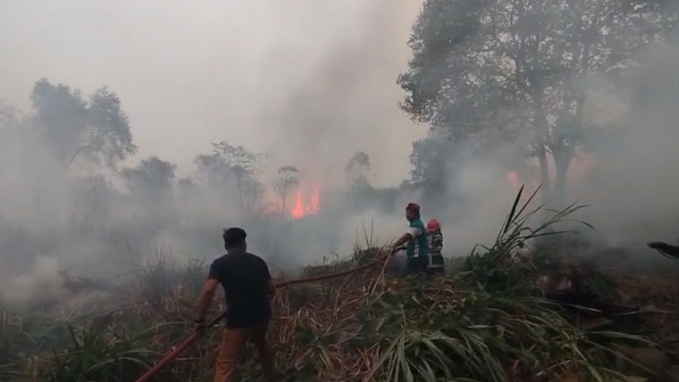 Angin Kencang dan Sulitnya Akses, Damkar Berjuang Jinakkan Api di Tanjung Johor
