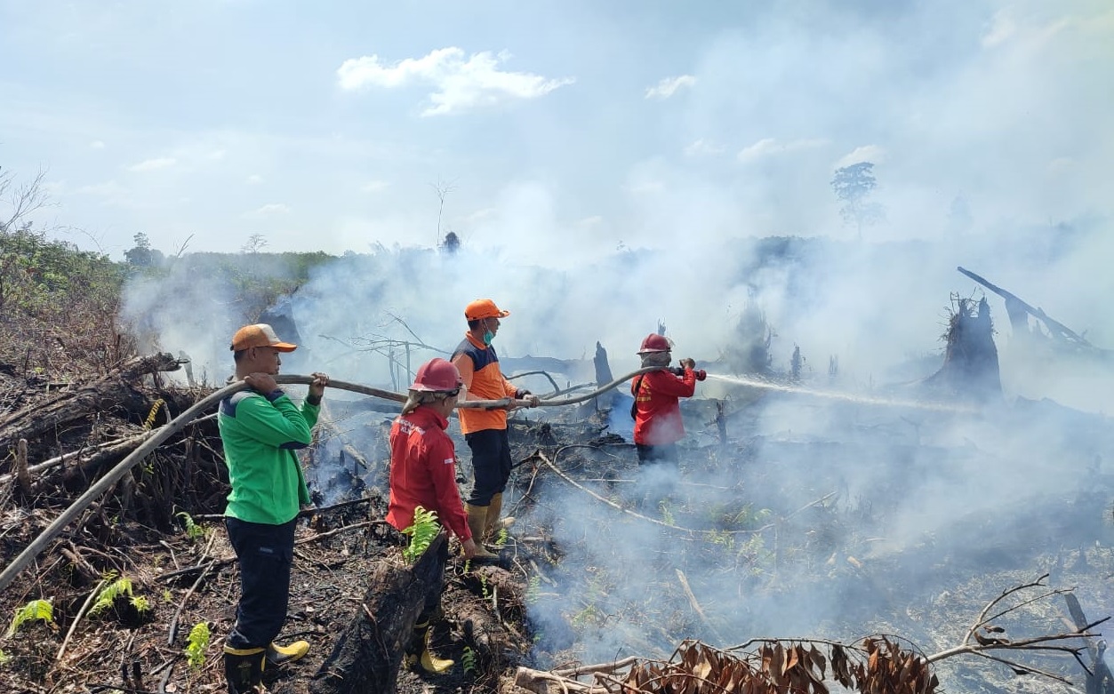 Kebakaran Lagi di Sarolangun, 1 Hektar Lahan di Desa Tinting Terbakar, Proses Pemadaman Berlangsung 2 Hari 