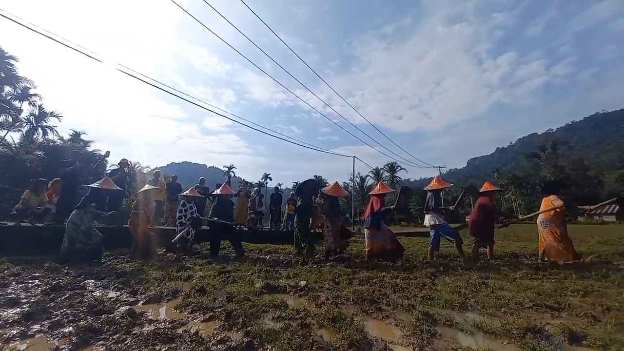 Tarian Mangku Berentak, Tradisi Warga Desa Bathin Pengambang Menari di Tengah Sawah