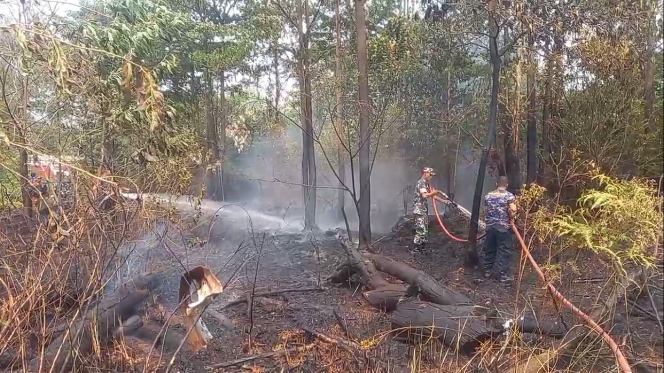 Diduga Akibat Api Puntung Rokok, Lahan Kosong Hangus Terbakar 