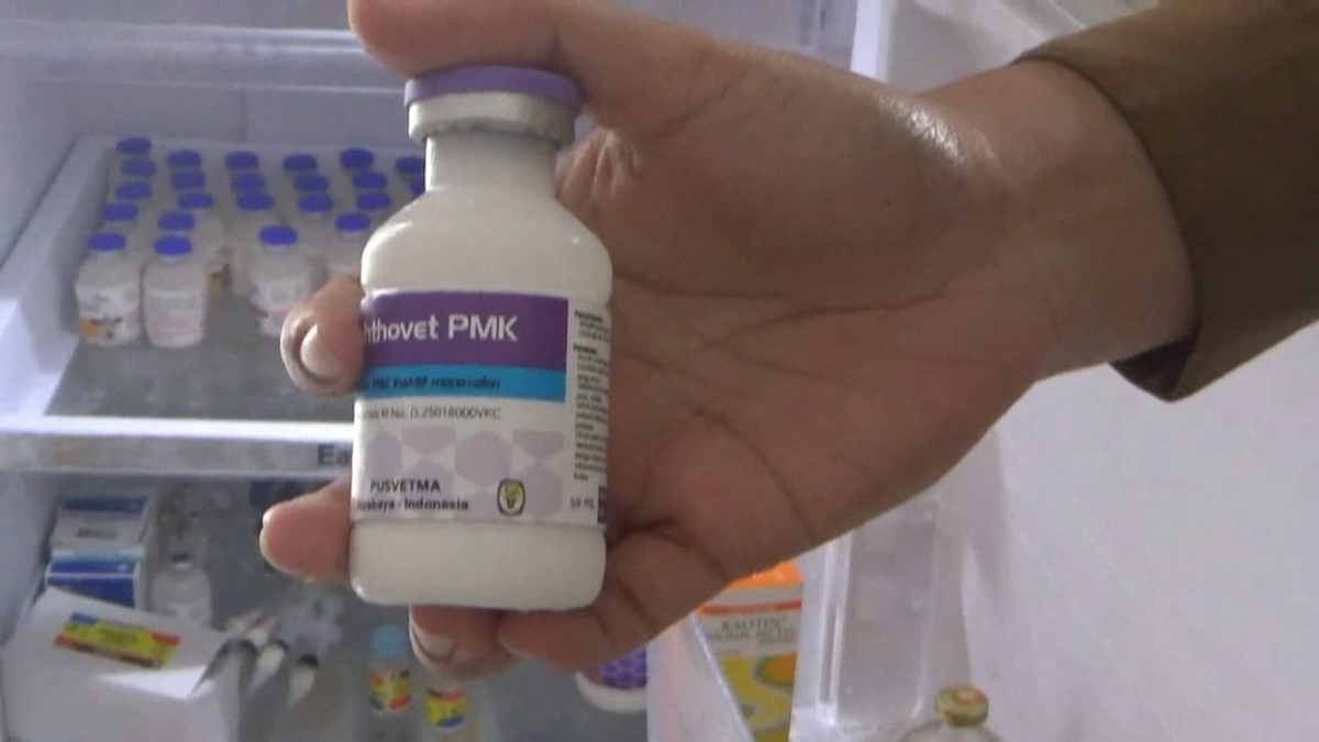 Cegah Penularan PMK, 1.000 Dosis Vaksin Disalurkan untuk Hewan Ternak di Batanghari