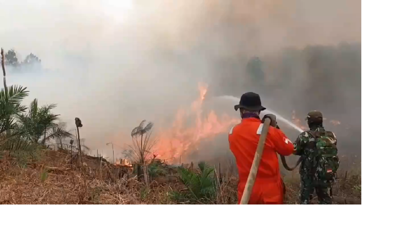 Tahura Batang Hari Kembali Terbakar, Enam Hektare Kawasan Hutan Hangus