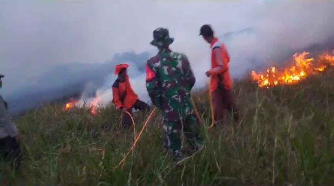 Lagi, Si Jago Merah Hanguskan 10 Hekatre Lahan di Muaro Jambi