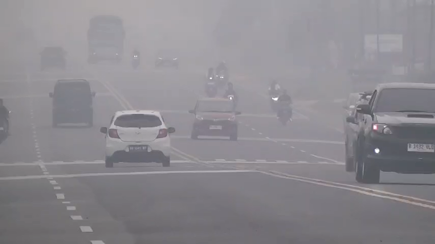 Kabut Asap Kepung Muaro Jambi, 4.065 Warga Terserang ISPA