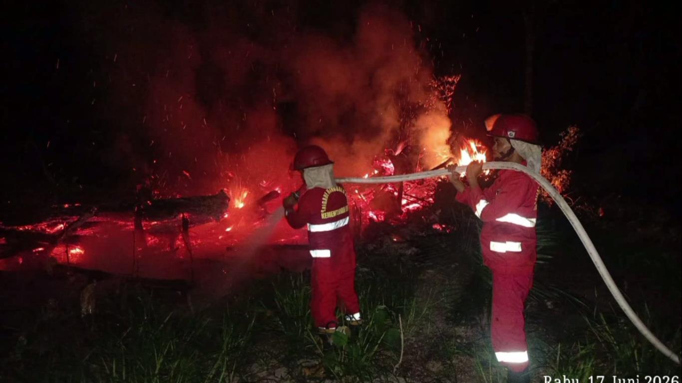 29 Titik Api Akibat Kebakaran Lahan Ditemukan di Batang Hari
