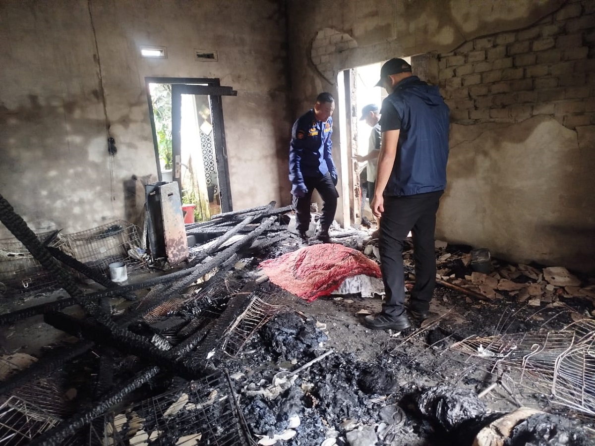 Lansia Tewas dalam Kebakaran Rumah di Muaro Jambi, Diduga Akibat Korsleting Listrik