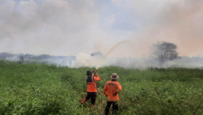 Karhutla di Muaro Jambi Semakin Meluas, 3 Kebakaran Terjadi Dalam 1 Hari