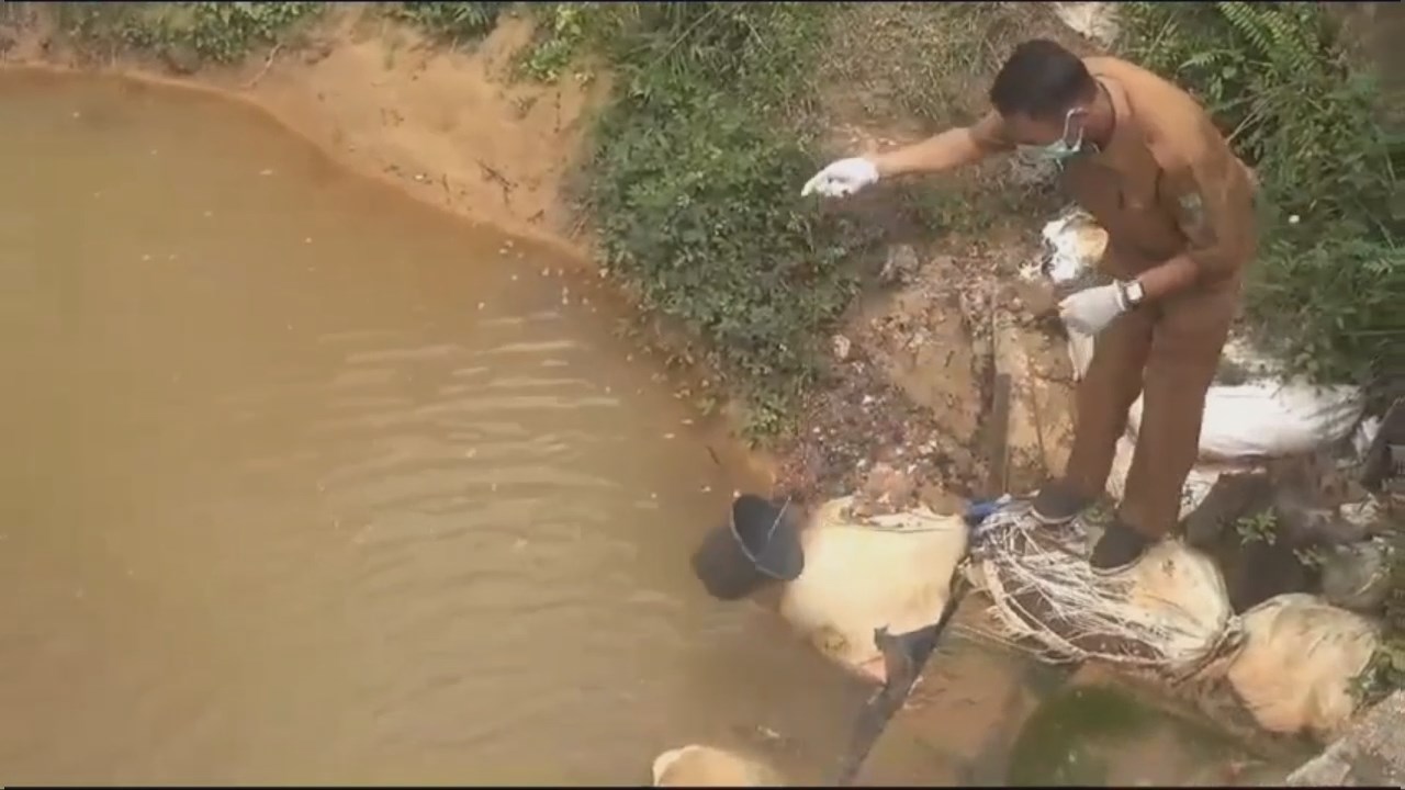 Pencemaran Sungai di Desa Suka Maju, DLH Muaro Jambi Turun ke Lokasi Ambil Sampel Air 