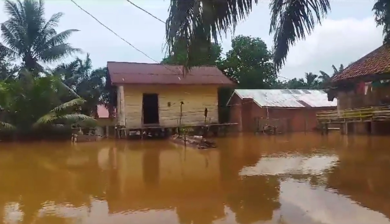 Dampak Banjir Bandang, Hampir 1.000 Rumah Warga di Kecamatan Pauh Terendam 