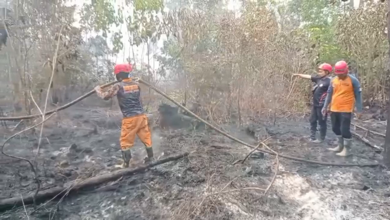 Siaga Karhutla Luasan Lahan Terbakar Di Tebo Capai 512 Hektare