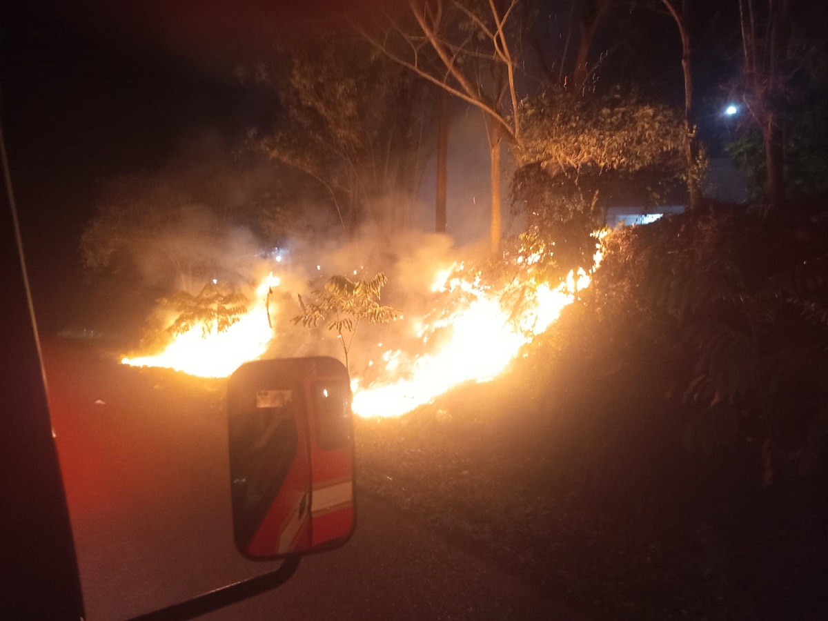 Bakar Sampah Tengah Malam, Lahan di Bukit Baling Muaro Jambi Nyaris Meluas