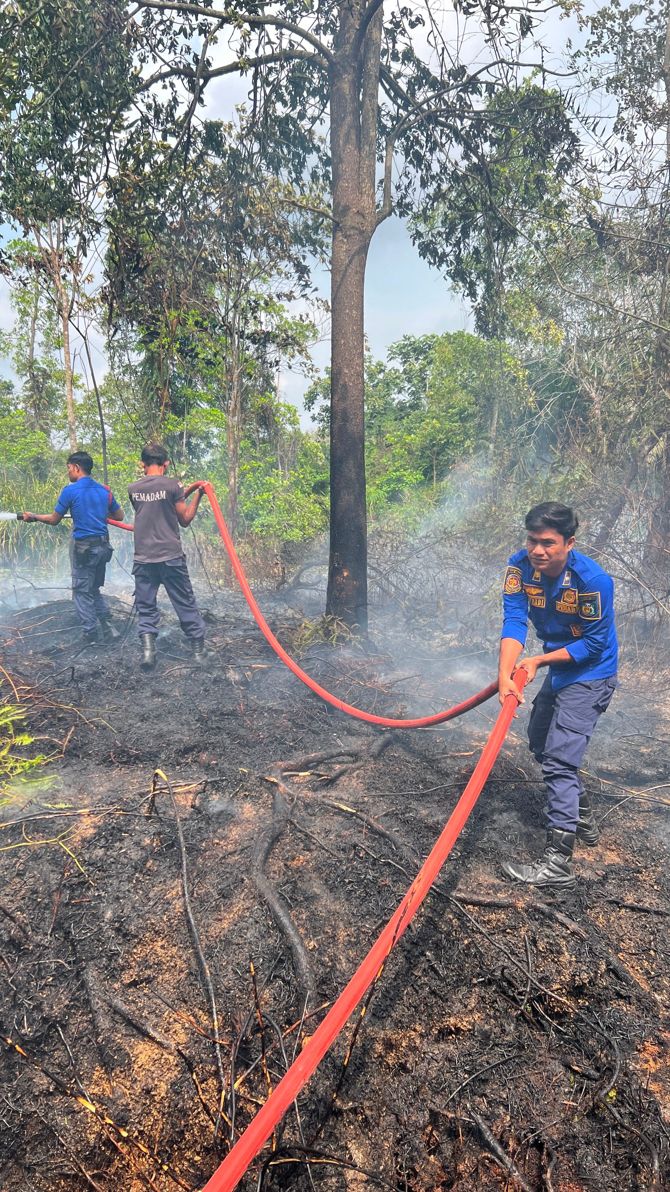 Kebakaran Lahan Nyaris Membakar Pemukiman Warga di Tebo