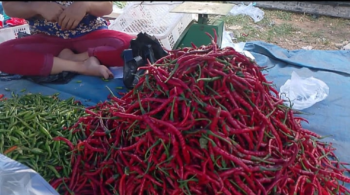 Harga Cabai di Tanjab Timur Anjlok Drastis, Pedagang Sebut Stok Melimpah