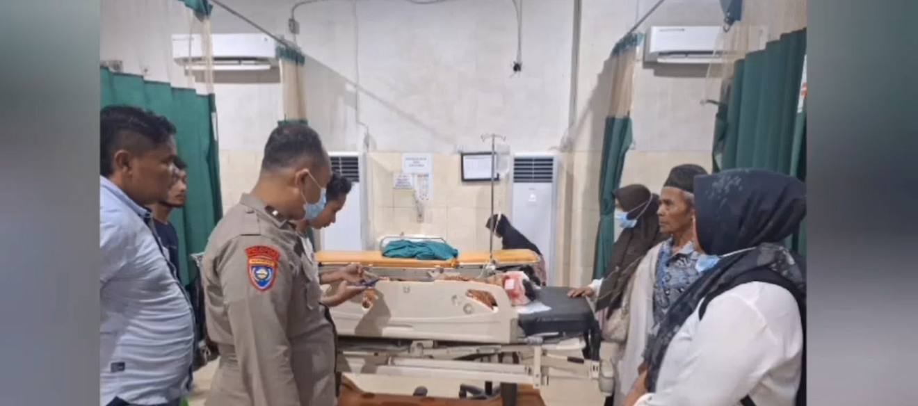 Tragis! Petani Karet Diserang Beruang Saat Menyadap, Alami Luka Parah Di Wajah