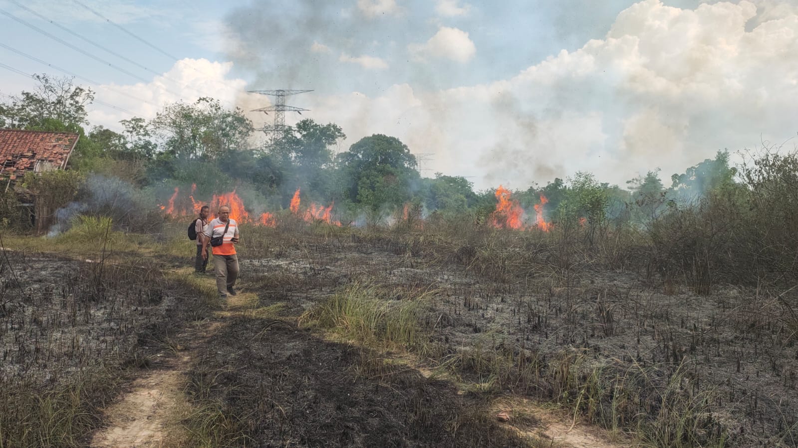 Kebakaran Terjadi Lagi di Muaro Jambi, Lahan Kosong Seluas 1 Hektar Terbakar