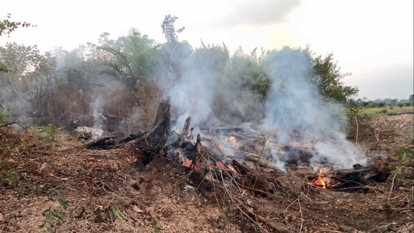Lahan Kebun Sawit di Desa Bajubang Laut Terbakar