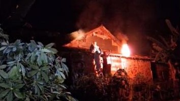 Bersarang di Atap Rumah Warga, Petugas Damkar Batang Hari Evakuasi Sarang Tawon Vespa