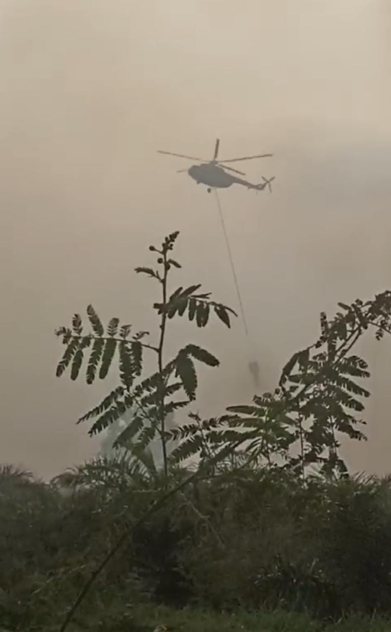 2 Heli Water Bombing Diterjunkan Padamkan Kebakaran Lahan di Desa Ramin