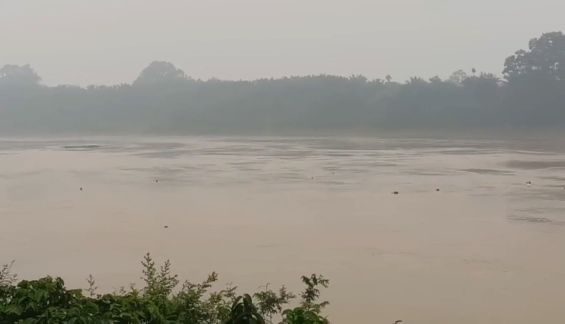 Aktivitas Manusia Picu Pencemaran Sungai Batanghari, Kualitas Air Jadi Sorotan