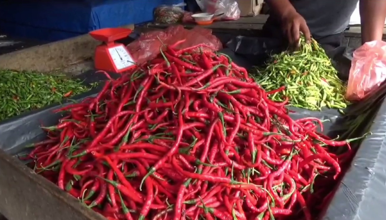 Harga Cabai Merah di Pasar Sengeti Turun Jadi Rp 70 Ribu/Kg