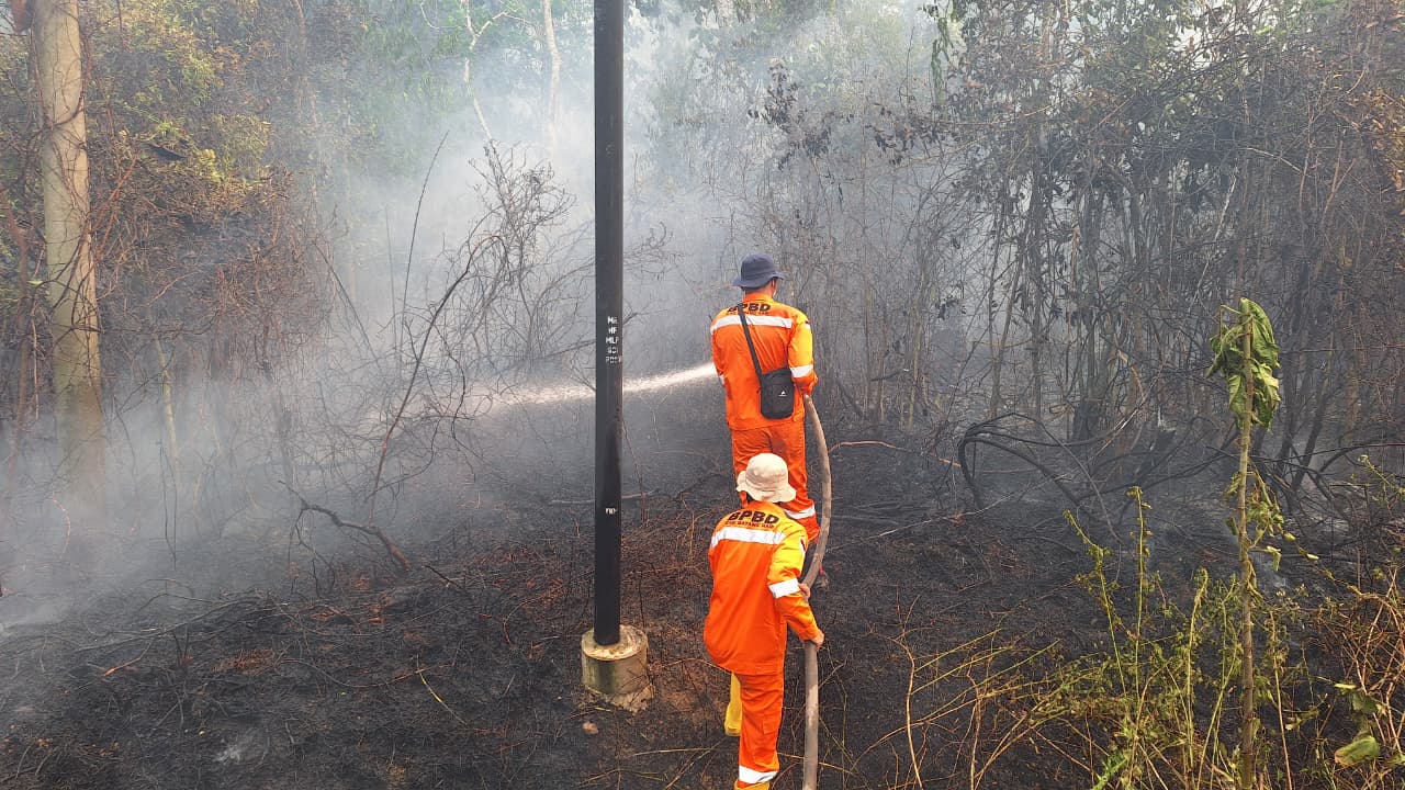 Karhutla di Batang Hari Meluas, 16,55 Hektare Lahan Terbakar dalam Sehari