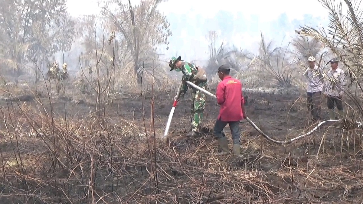 Hotspot Melonjak, Hampir 200 Hektare Lahan Terbakar di Tanjab Timur
