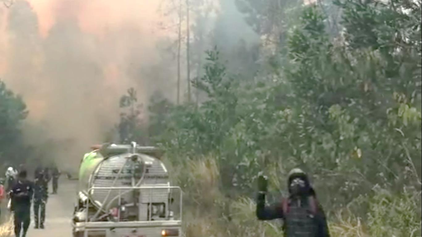 9 Titik Api Kepung Batang Hari, 34,5 Hektare Hutan dan Lahan Perkebunan Terbakar dalam Sehari