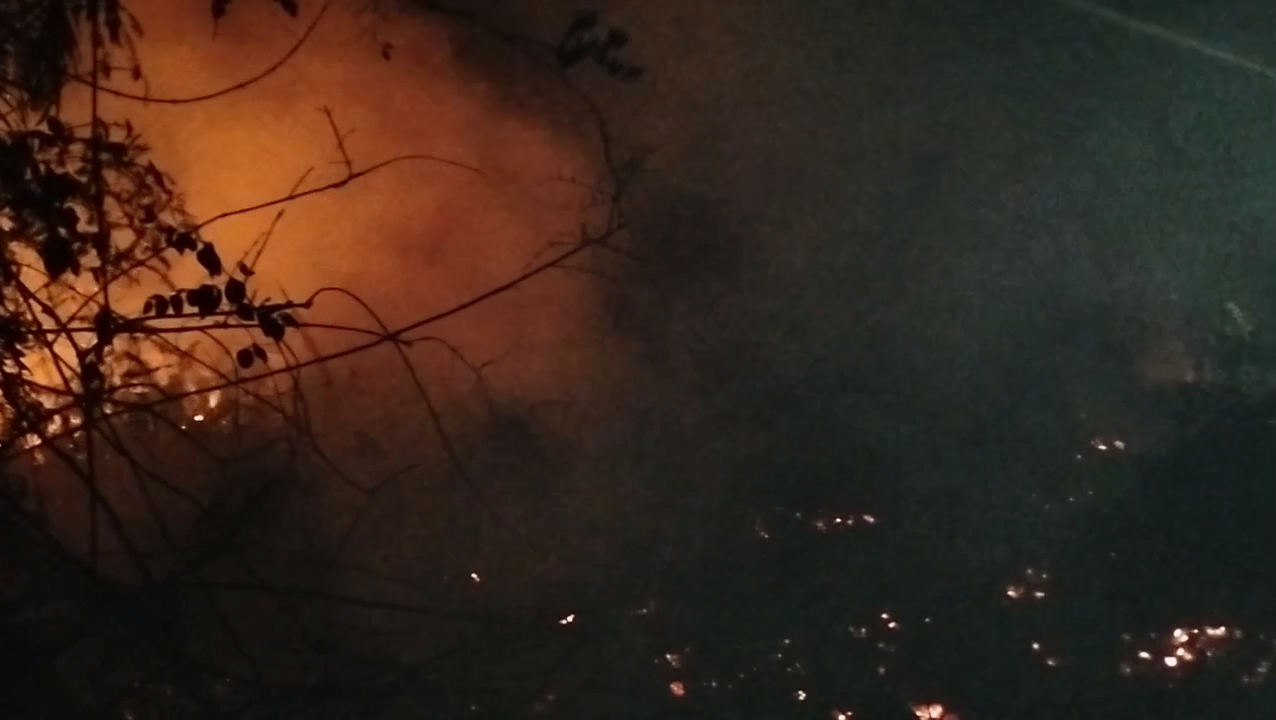 Gambut Sungai Abang Sarolangun Kembali Terbakar, 30 Hektare Hangus dalam Dua Hari