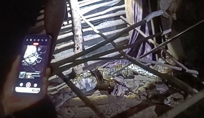 Mangsa Ayam Ternak Warga, Seekor Ular Piton Ditangkap Petugas Damkar Batang Hari