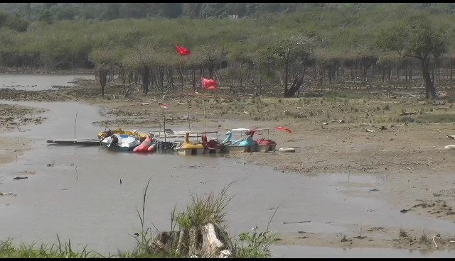 Obyek Wisata Danau Tangkas Muaro Jambi Mengering Dampak Musim Kemarau