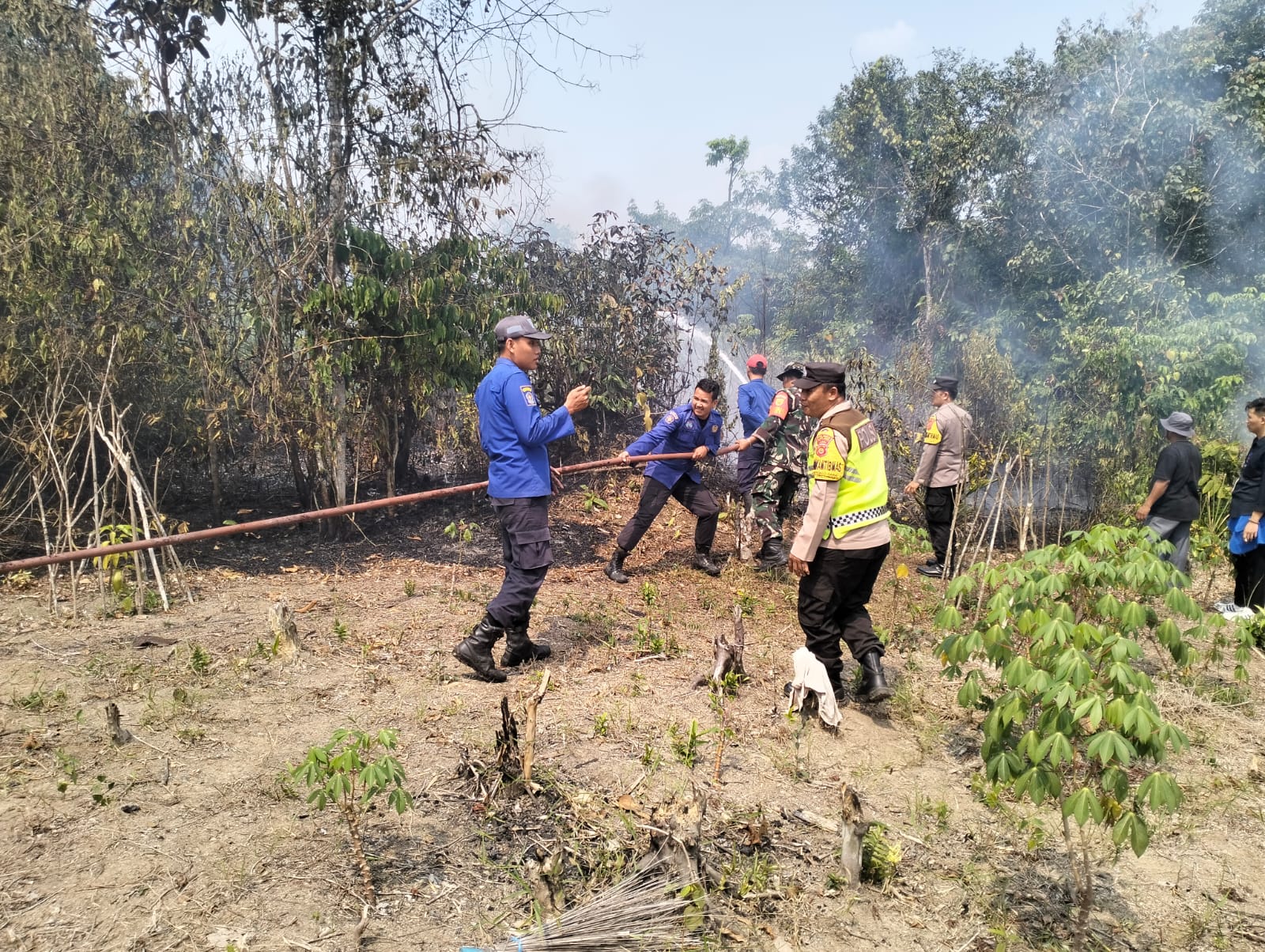 Si Jago Merah Kembali Hanguskan Lahan Kosong Di Muaro Jambi 