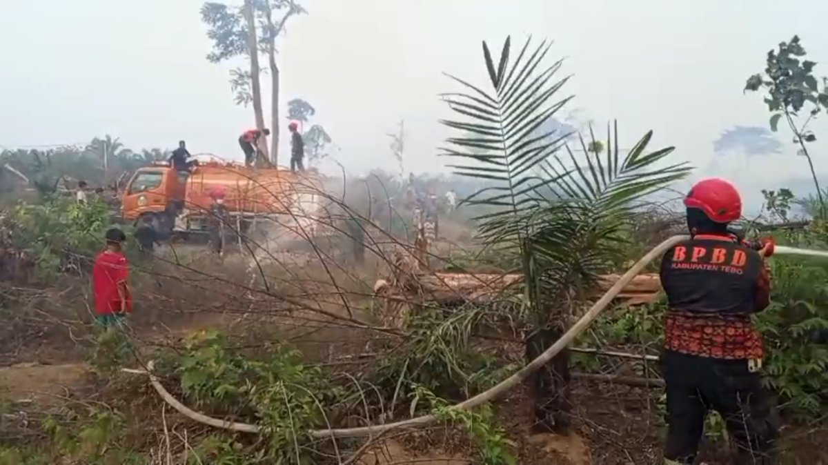 Siaga Karhutla, Pemkab Tebo Perpanjang Status Siaga hingga Sebulan ke Depan