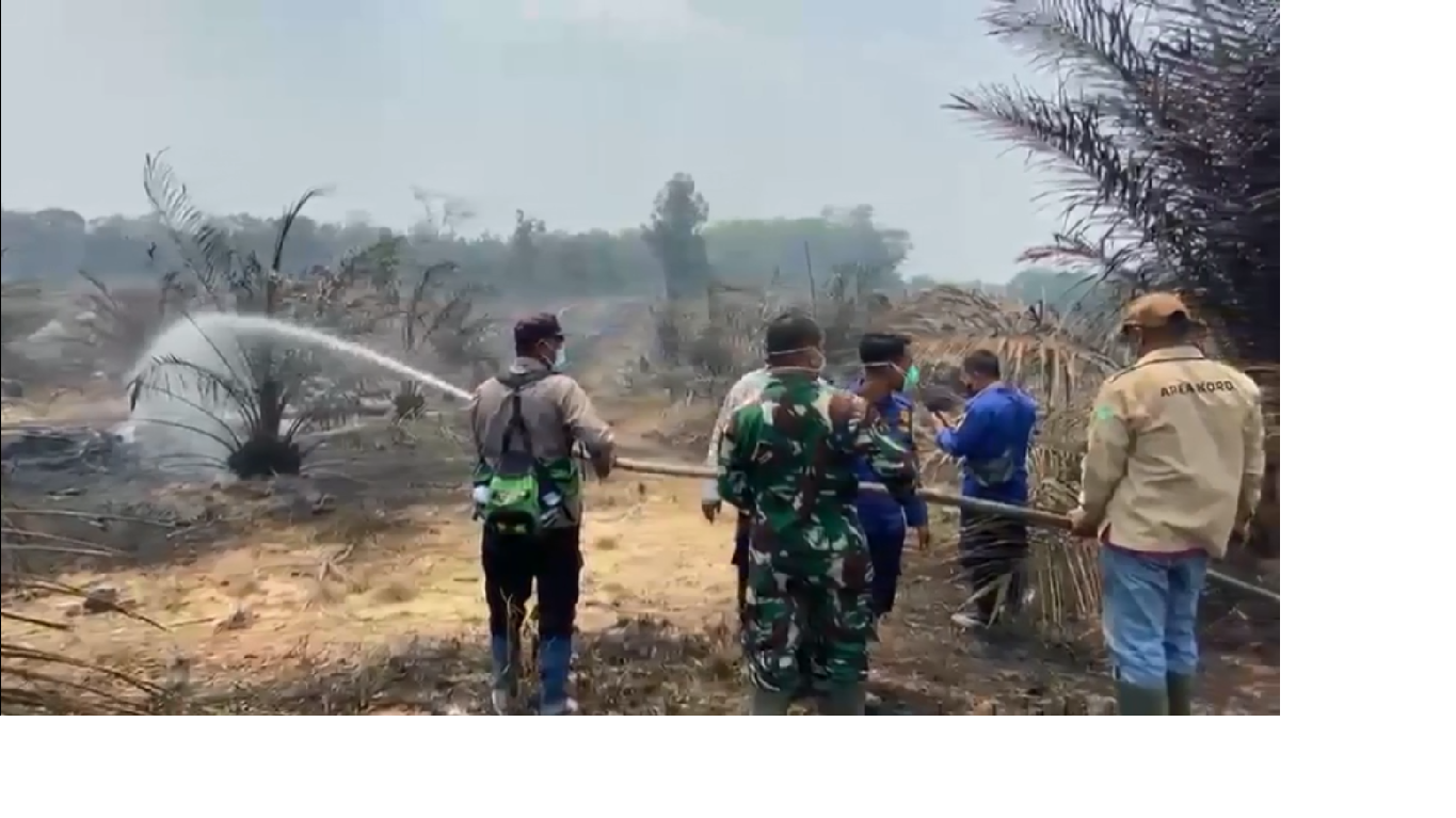 Kebun Sawit Warga di Tebo Terbakar, Api Nyaris Sambar Permukiman