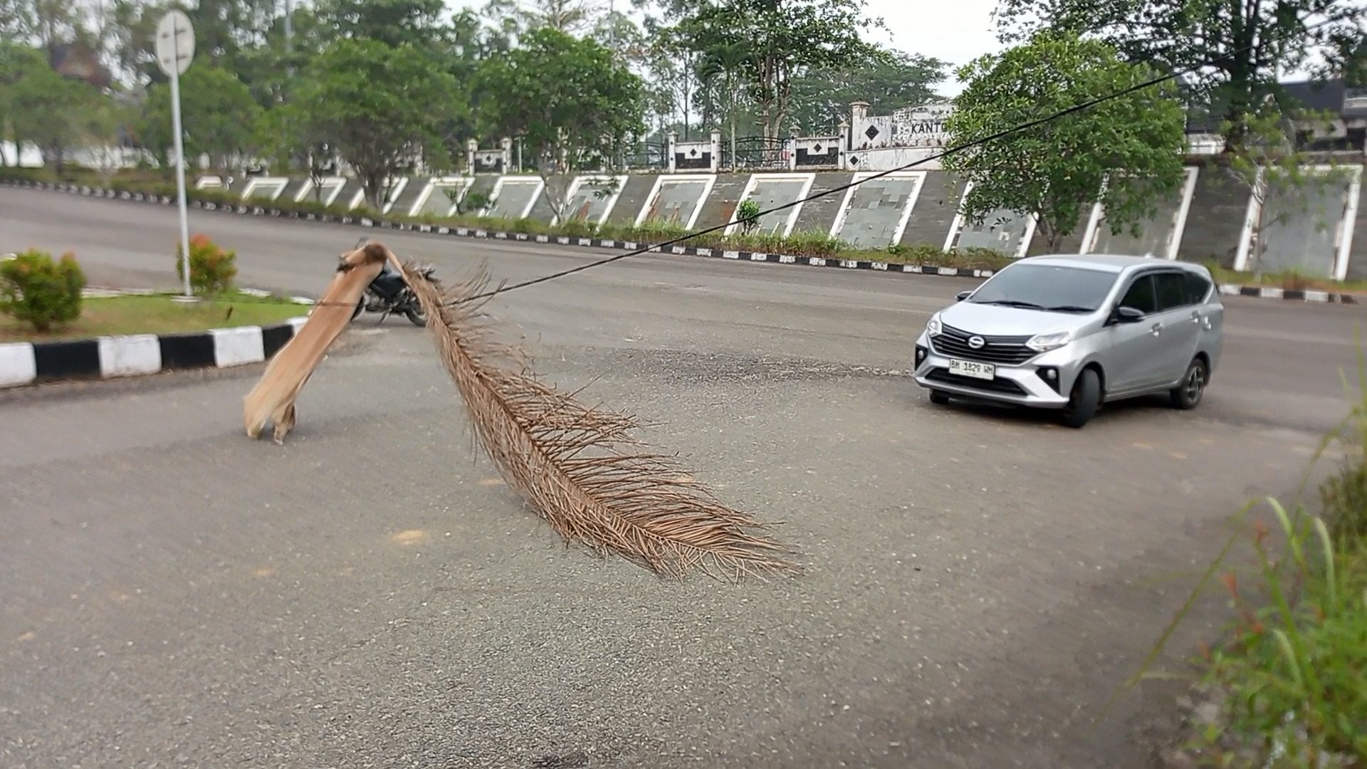 Kabel Terjuntai Hambat Arus Lalu Lintas di Tebo