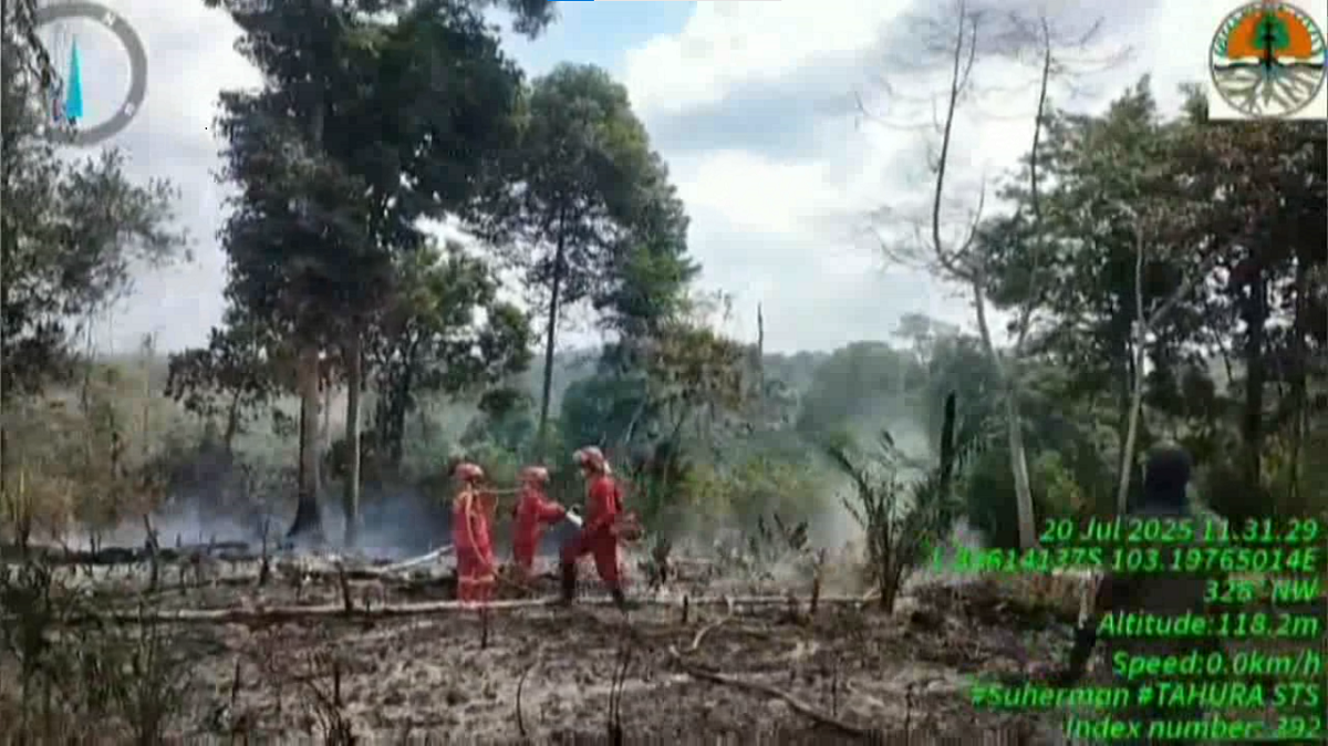 Kebakaran  Lahan Tahura  Kurun Waktu 5 Bulan, 57,5 Hektar Ditemukan Terbakar
