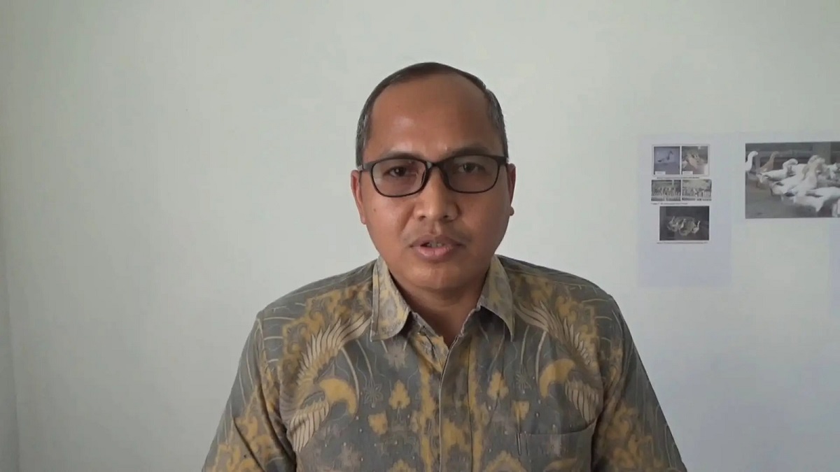Sebanyak 2.540 Hewan Kurban Kerinci Siap Penuhi Kebutuhan Idul Adha