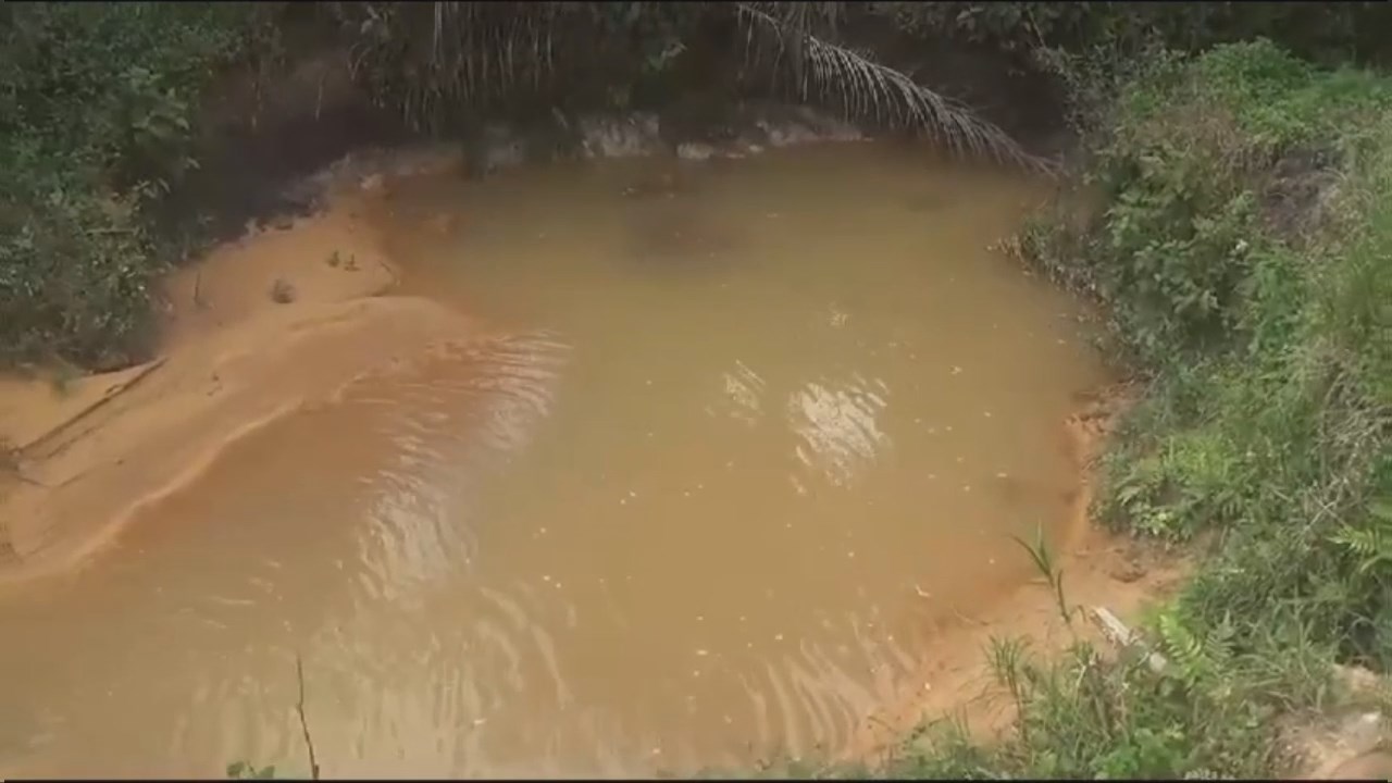 Air Sungai Desa Suka Maju Mestong Tercemar, Diduga Berasal Dari Pembuangan Limbah Perusahaan Sawit