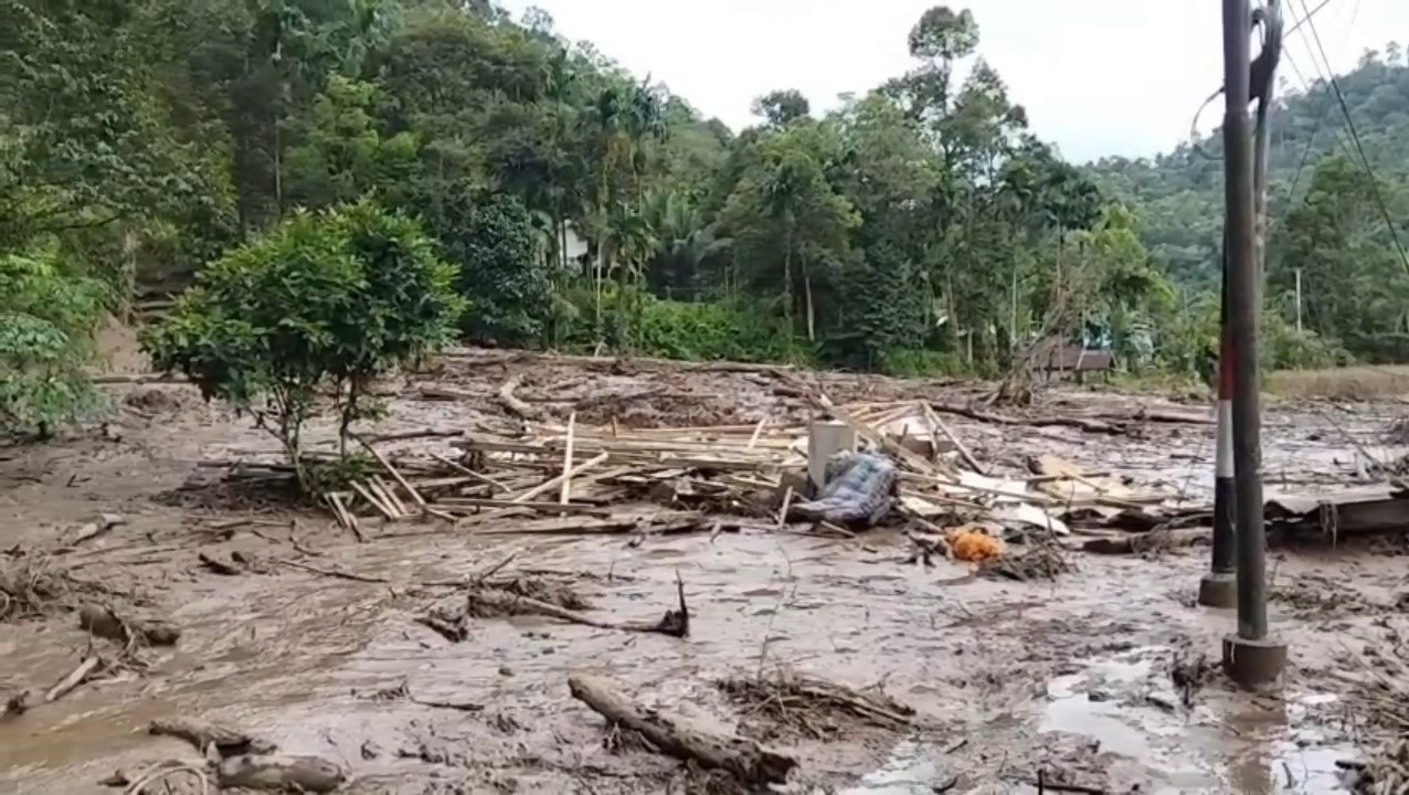 Longsor Terjang Jalan KM 18–20 Puncak, Akses Perbatasan Jambi–Sumbar Terdampak