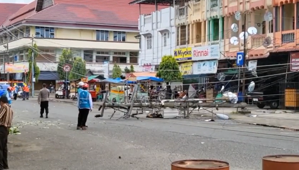 Dampak Pemangkasan Pohon, Dahan Pohon Timpa Jaringan PLN Hingga Tiang Patah