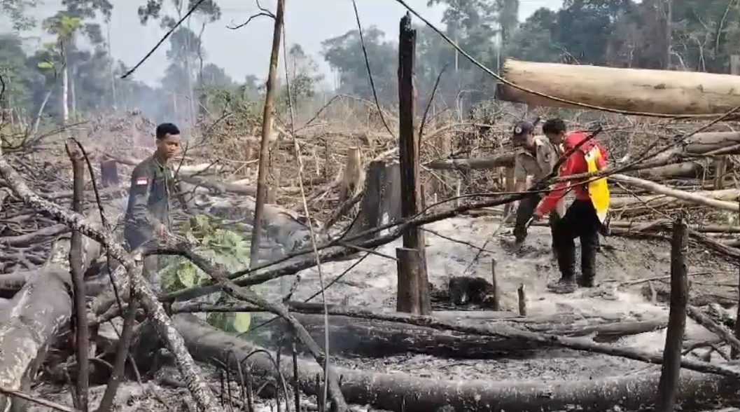 Luasan Lahan Terbakar di Tebo Mencapai 29 Hektare 