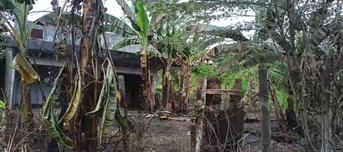 76 Desa dan Kelurahan di Batanghari Masuk Zona Rawan Karhutla