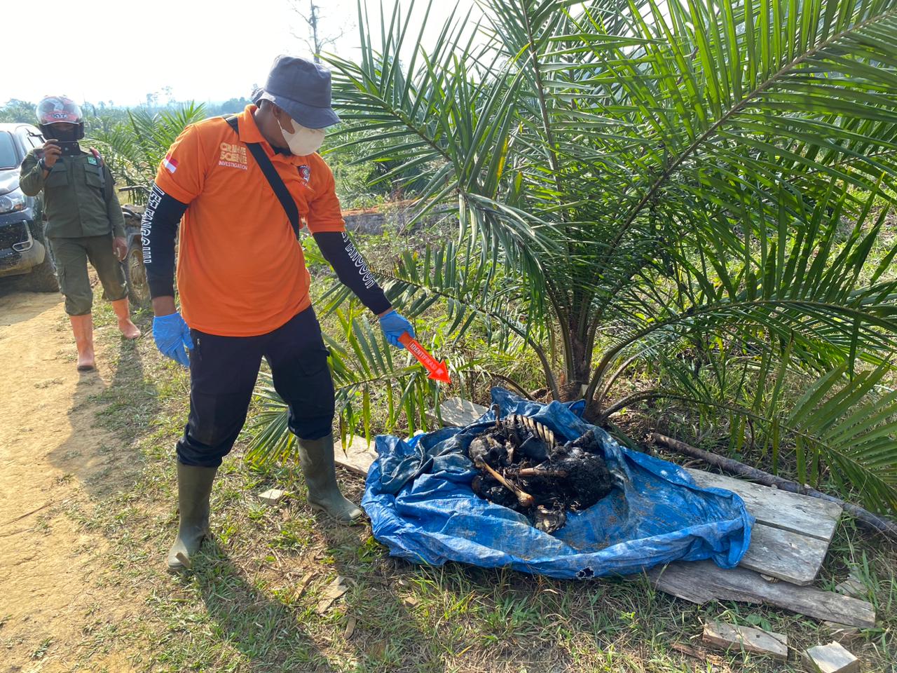 Warga Temukan Kerangka Manusia, Korban Diduga Tewas Terbakar Saat Kebakaran Lahan