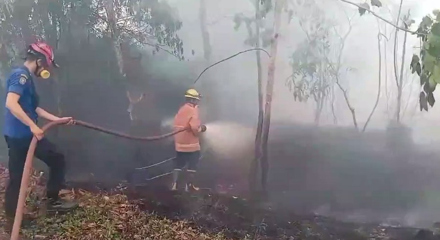 Luas Lahan Terbakar di Batanghari Sudah Mencapai 301,5 Hektar