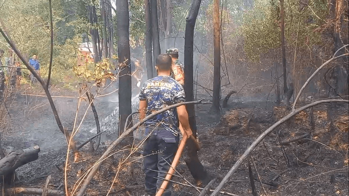 Di Bulan Oktober, Karhutla Jambi Sudah Membakar 20 Titik Lahan di Sarolangun 